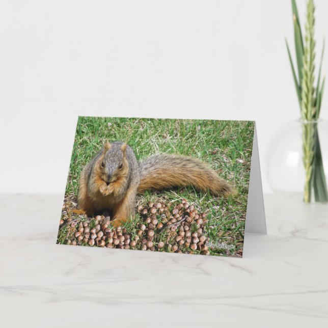 Funny Squirrel Eating Acorns, Thanks for Meal Thank You Card (Front)
