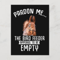 Funny Squirrel Empty Bird Feeder Squirrels