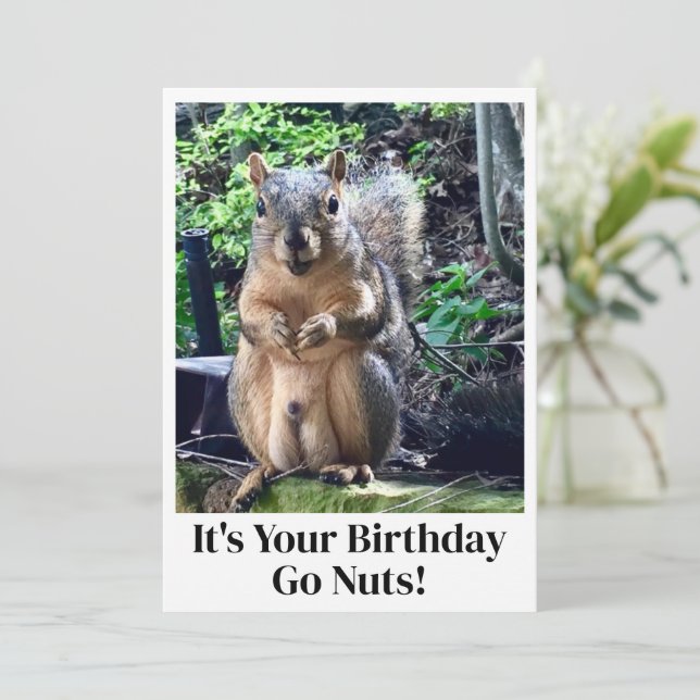 Funny Squirrel Go Nuts It's Your Birthday Card (Standing Front)