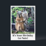 Funny Squirrel Go Nuts It's Your Birthday Card<br><div class="desc">It's your birthday,  go nuts!  A funny squirrel play on words joke about his nuts. Adult humour birthday card with a cute animal photo. Hilarious picture and quote for a friend on their special day.</div>