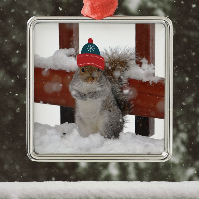 Funny Squirrel in Snowflake Baseball Cap Ornament (Creator Uploaded)