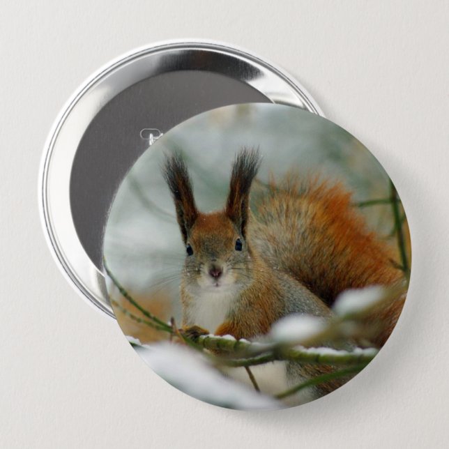 Funny Squirrel in Winter 4 Inch Round Button (Front & Back)