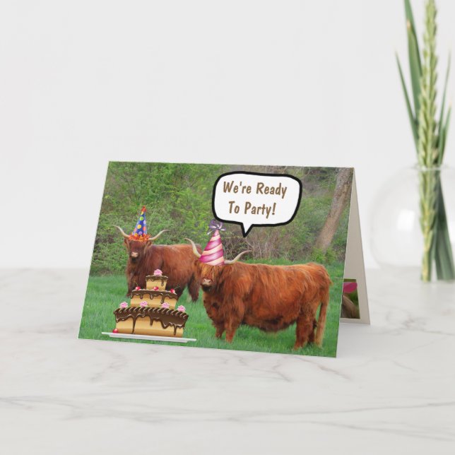 Funny Steer and Cake Birthday Card (Front)