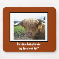 Funny Steer with Bangs