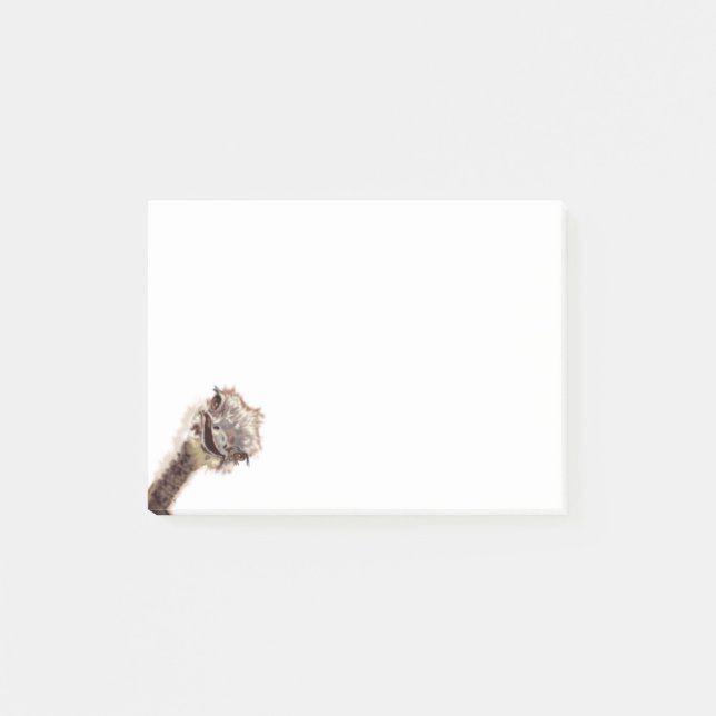 Funny Sticky Notes with Happy Playful Ostrich (Front)