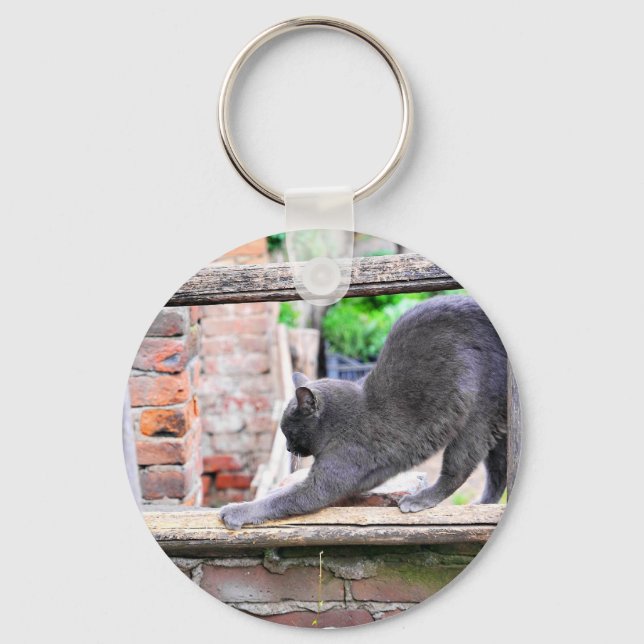 Funny stretching cat keychain (Front)