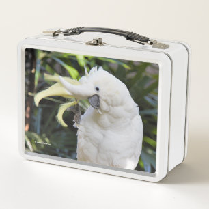 Funny Sulphur-Crested Cockatoo Parrot Bird Waves Metal Lunch Box
