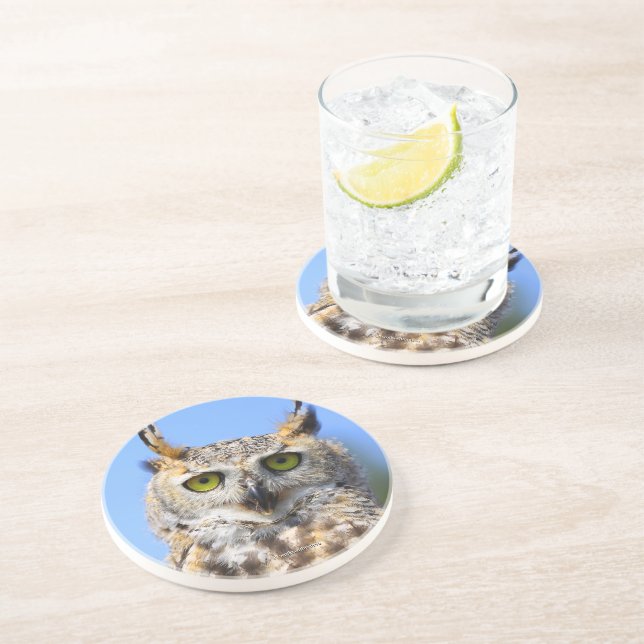 Funny Surprised Beautiful Great Horned Owl Coaster (Side)