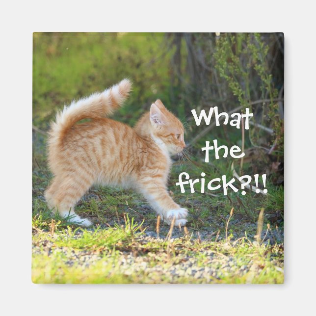 Funny Surprised Ginger Kitten. What the frick? Magnet (Front)