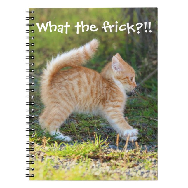 Funny Surprised Ginger Kitten. What the frick? Notebook (Front)