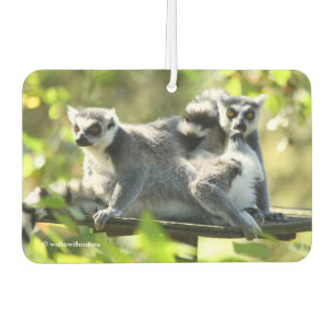 Funny Surprised Lemurs of Madagascar Air Freshener