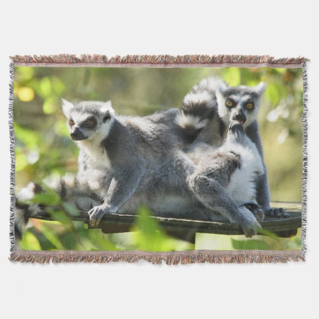 Funny Surprised Lemurs of Madagascar Throw Blanket (Front)