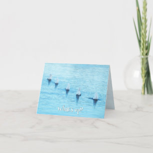 Funny Swans What's Up All Occasion Blank Holiday Card