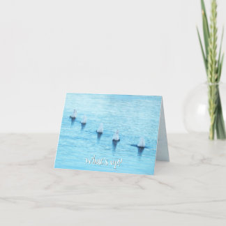 Funny Swans What's Up All Occasion Blank Holiday Card