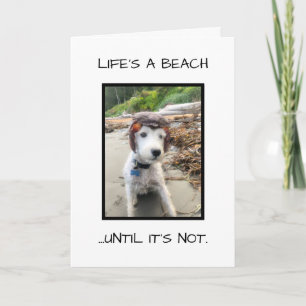 FUNNY SYMPATHY CARD