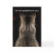 Funny Tabby Cat Birthday Card