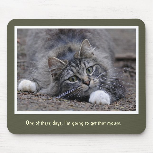 Funny Tabby Cat Going to get that Mouse Pad (Front)