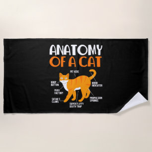 Funny Tabby Cat Owner Anatomy Of A Cat Beach Towel