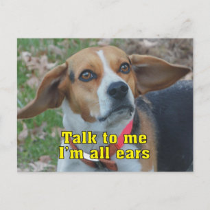 Funny Talk To Me I'm All Ears Beagle Postcard