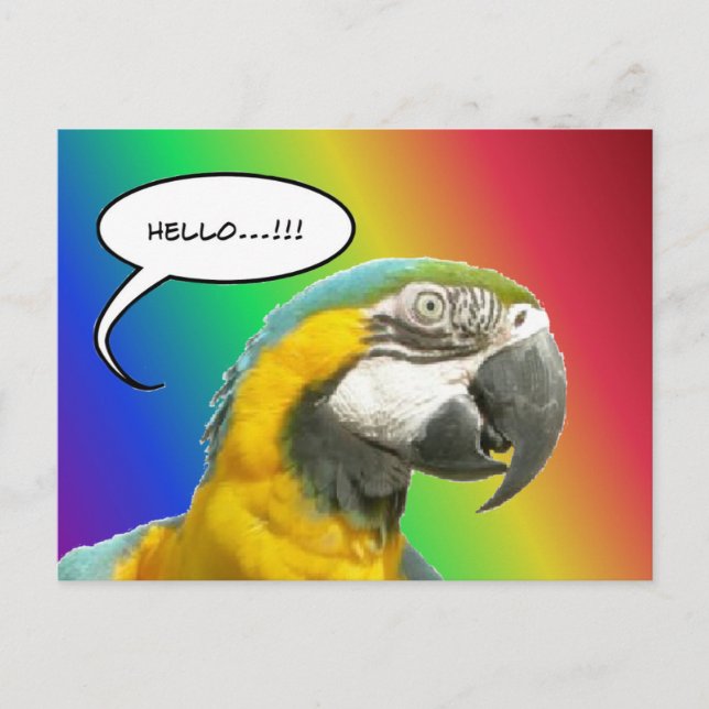 Funny Talking Parrot Arc-en-ciel Bonjour carte pos (Devant)