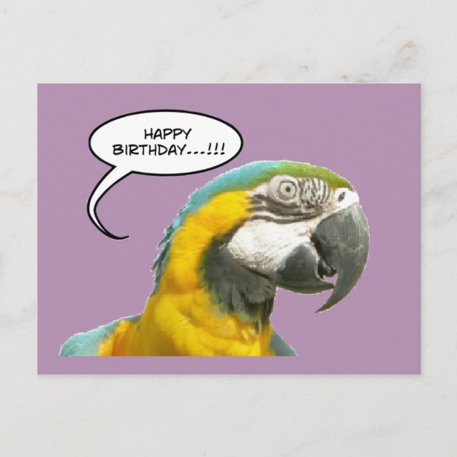 Funny Talking Parrot Carte postale Anniversaire (Devant)