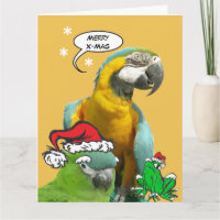 Funny Talking Parrot Merry X-Mas Greeting Card