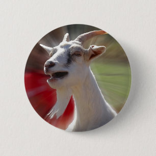Funny Tallking Goat Photograph 2 Inch Round Button