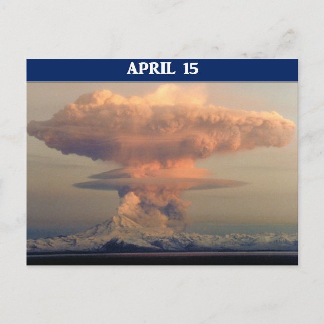 Funny Tax Day Run For Cover Postcard (Front)