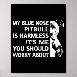 Funny Tbull Quote Blue Nose Tbull Design Cool Dog Poster