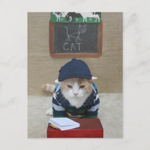 Funny Teacher to Parent Postcard