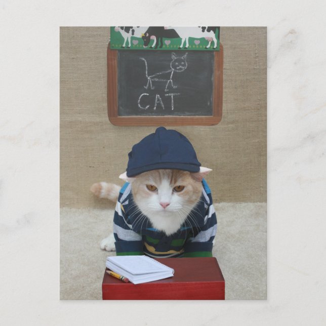 Funny Teacher to Parent Postcard (Front)