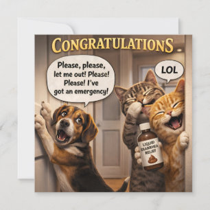 Funny the prank dog and cat congratulations readin card