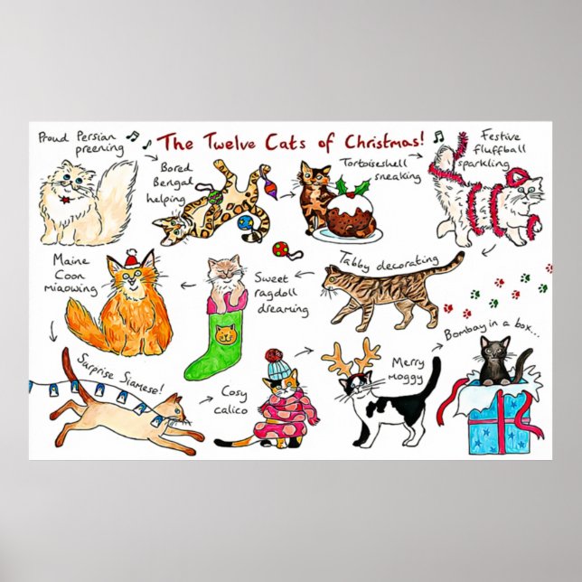 Funny The Twelve Cats Of Christmas Poster (Front)