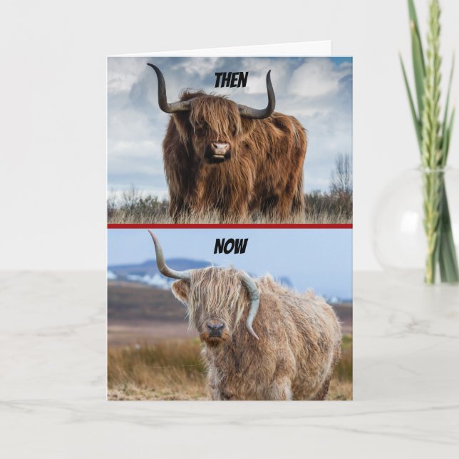 Funny Then And Now Hell-Raising Bull Birthday Card (Front)