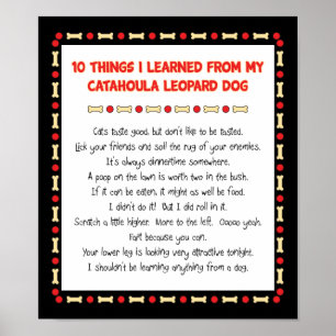 Funny Things I Learned From Catahoula Leopard Dog Poster