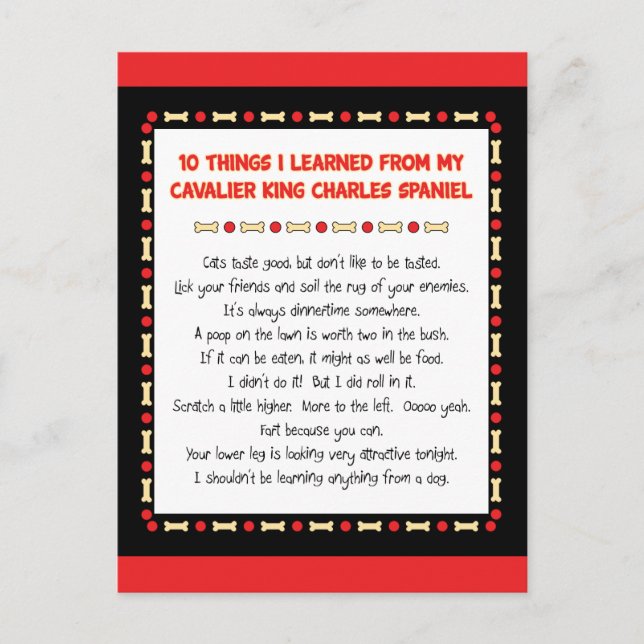 Funny Things I Learned From Cavalier King Charles Postcard (Front)