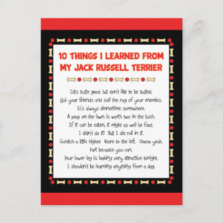 Funny Things I Learned From Jack Russell Terrier Postcard