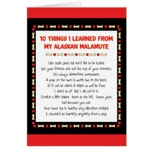 Funny Things I Learned From My Alaskan Malamute