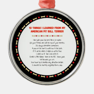Funny Things I Learned From My American Pit Bull Metal Ornament
