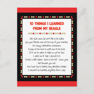 Funny Things I Learned From My Beagle Postcard