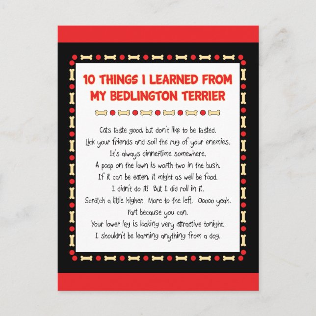Funny Things I Learned From My Bedlington Terrier Postcard (Front)