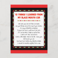 Funny Things I Learned From My Black Mouth Cur