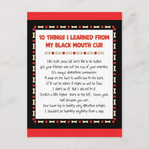 Funny Things I Learned From My Black Mouth Cur Postcard
