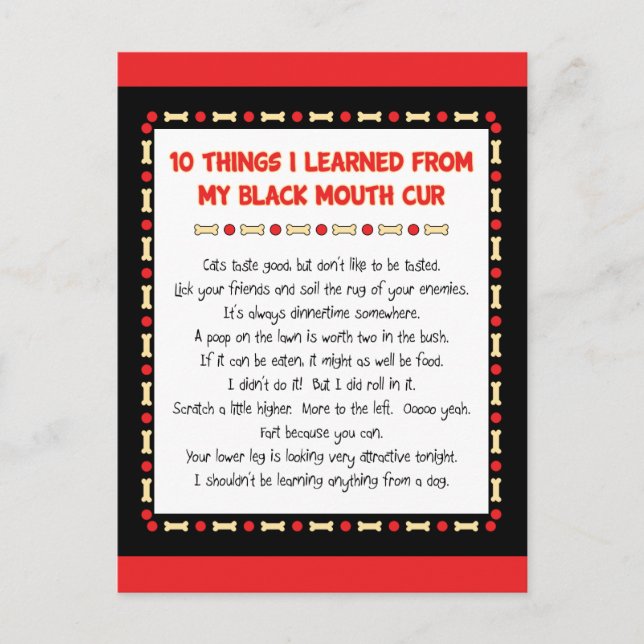 Funny Things I Learned From My Black Mouth Cur Postcard (Front)