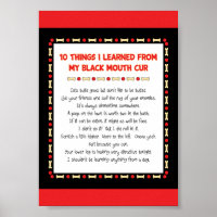 Funny Things I Learned From My Black Mouth Cur