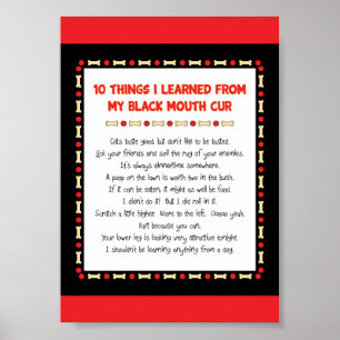 Funny Things I Learned From My Black Mouth Cur Poster