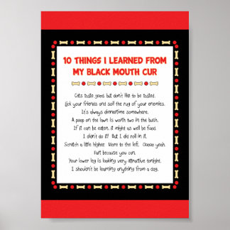 Funny Things I Learned From My Black Mouth Cur Poster