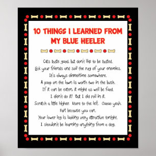 Funny Things I Learned From My Blue Heeler Poster