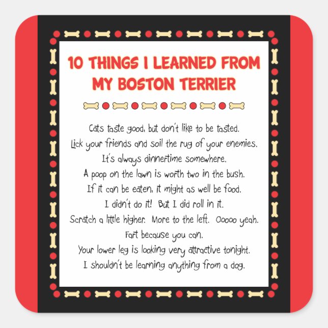 Funny Things I Learned From My Boston Terrier Square Sticker (Front)
