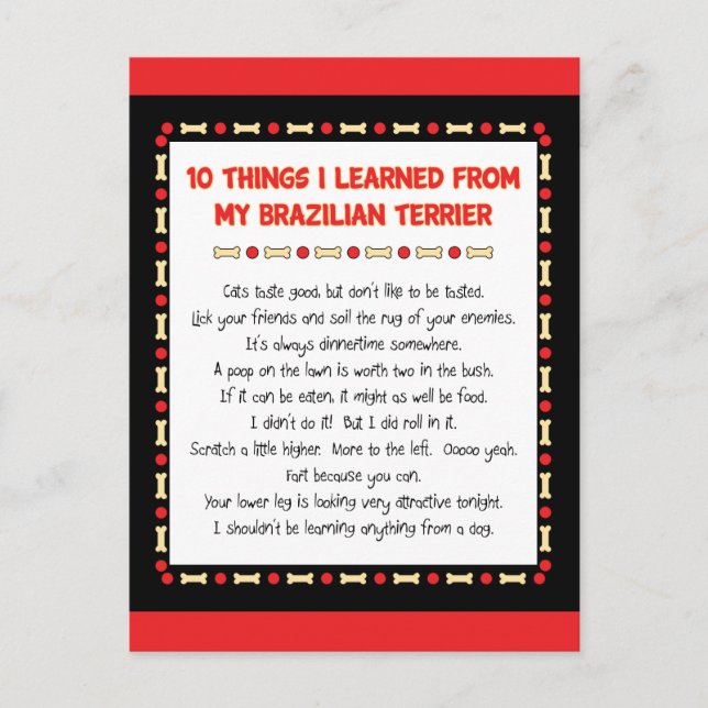 Funny Things I Learned From My Brazilian Terrier Postcard (Front)